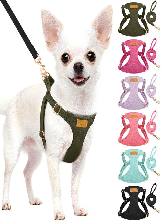 Lukovee No Pull Small Dog Harness with Leash - Lightweight Soft Puppy Vest Harnesses, Adjustable Pet Harnesses for Puppy Small Dogs (Green, XXS) - Image 1